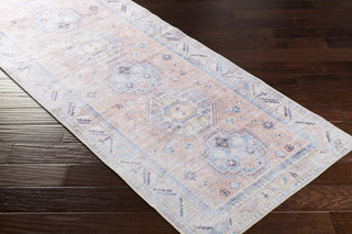 Livabliss Antiquity AUY-2306 Area Rug