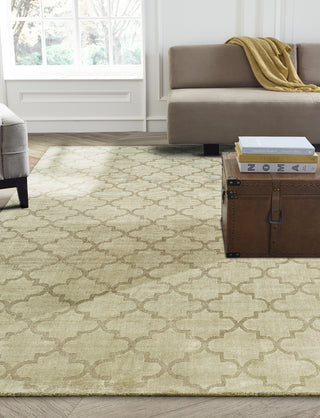 Kalaty Avalon AV-192 Chino Area Rug