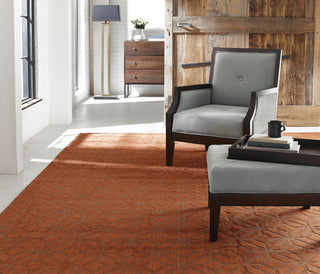 Kalaty Avalon AV-195 Spice Area Rug