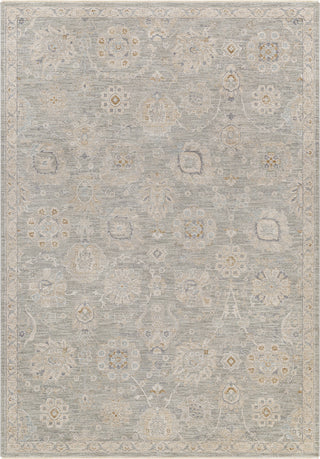 Surya Avant Garde AVT-2335 Area Rug main image