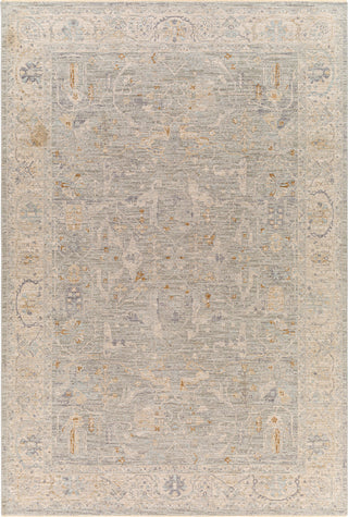 Surya Avant Garde AVT-2339 Taupe Area Rug main image