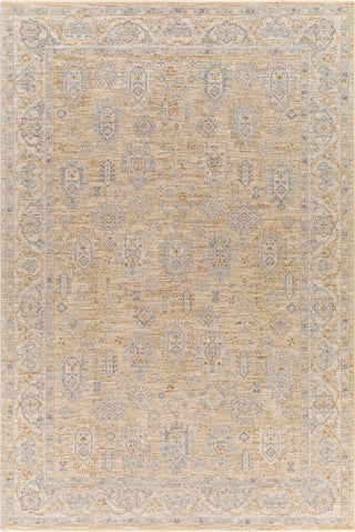 Surya Avant Garde AVT-2340 Taupe Area Rug main image