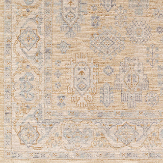 Surya Avant Garde AVT-2340 Taupe Area Rug Swatch