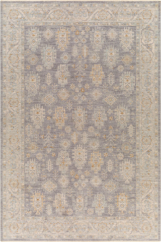 Surya Avant Garde AVT-2341 Taupe Area Rug main image