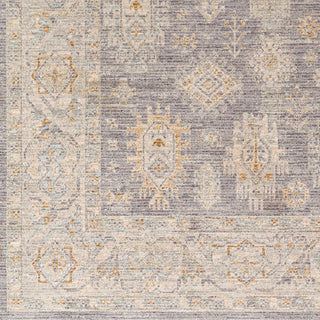 Surya Avant Garde AVT-2341 Taupe Area Rug Swatch