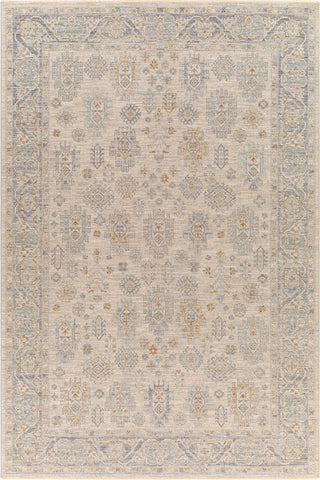 Surya Avant Garde AVT-2342 Taupe Area Rug main image