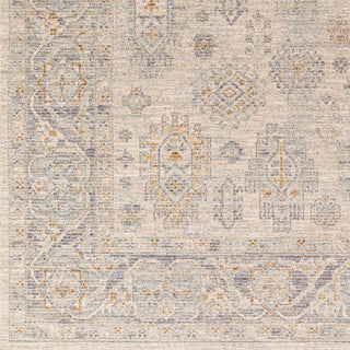 Surya Avant Garde AVT-2342 Taupe Area Rug Swatch