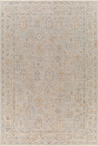 Surya Avant Garde AVT-2343 Taupe Area Rug main image