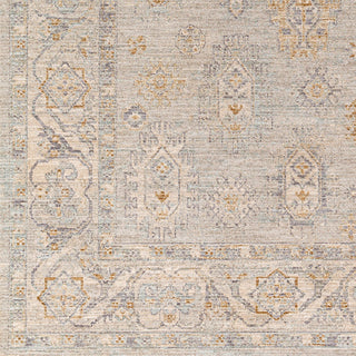 Surya Avant Garde AVT-2343 Taupe Area Rug Swatch