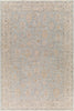 Surya Avant Garde AVT-2344 Taupe Area Rug main image