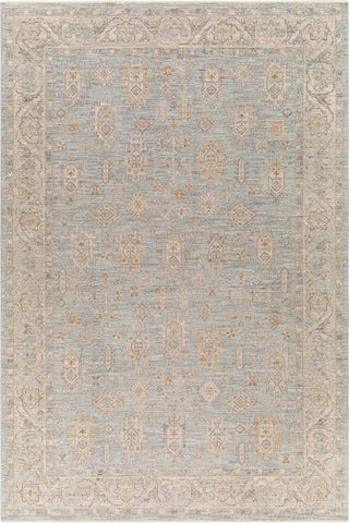 Surya Avant Garde AVT-2344 Taupe Area Rug main image