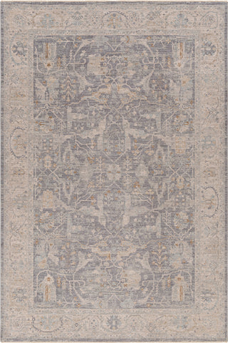 Surya Avant Garde AVT-2347 Taupe Area Rug main image