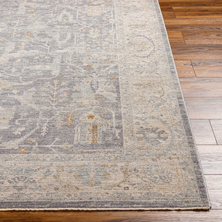 Surya Avant Garde AVT-2347 Taupe Area Rug 