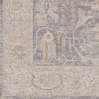 Surya Avant Garde AVT-2347 Taupe Area Rug Swatch