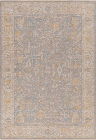 Surya Avant Garde AVT-2349 Taupe Area Rug main image