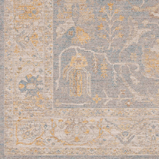 Surya Avant Garde AVT-2349 Taupe Area Rug Swatch