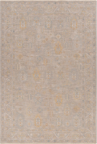 Surya Avant Garde AVT-2352 Taupe Area Rug main image