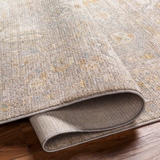 Surya Avant Garde AVT-2352 Taupe Area Rug 