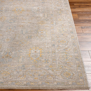 Surya Avant Garde AVT-2352 Taupe Area Rug 