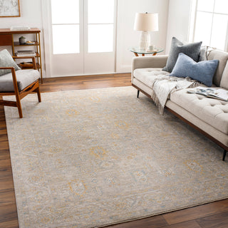 Surya Avant Garde AVT-2352 Taupe Area Rug Room Scene Feature