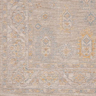 Surya Avant Garde AVT-2352 Taupe Area Rug Swatch