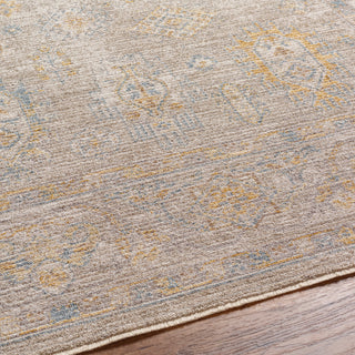 Surya Avant Garde AVT-2352 Taupe Area Rug Detail