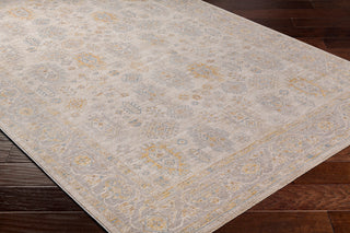 Surya Avant Garde AVT-2353 Taupe Area Rug Corner Shot