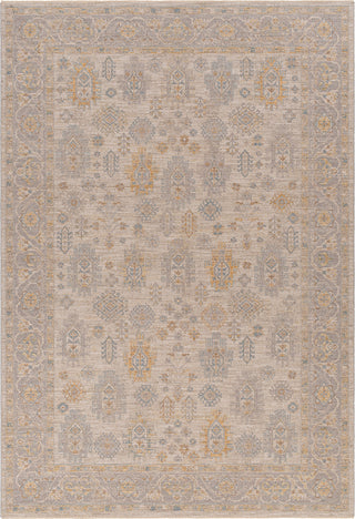 Surya Avant Garde AVT-2353 Taupe Area Rug main image