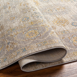 Surya Avant Garde AVT-2353 Taupe Area Rug 