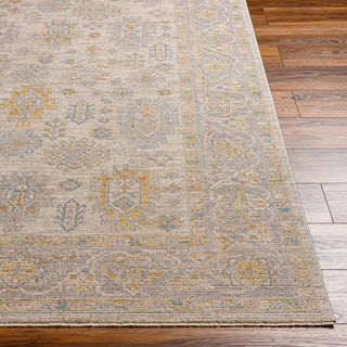 Surya Avant Garde AVT-2353 Taupe Area Rug 