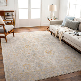 Surya Avant Garde AVT-2353 Taupe Area Rug Room Scene Feature