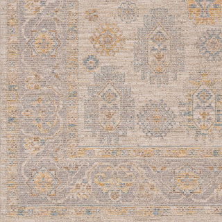 Surya Avant Garde AVT-2353 Taupe Area Rug Swatch