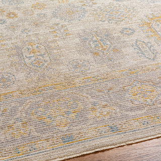 Surya Avant Garde AVT-2353 Taupe Area Rug Detail