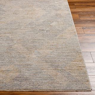 Surya Avant Garde AVT-2356 Taupe Area Rug 