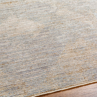 Surya Avant Garde AVT-2356 Taupe Area Rug Detail