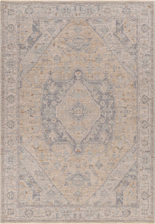 Surya Avant Garde AVT-2357 Taupe Area Rug main image