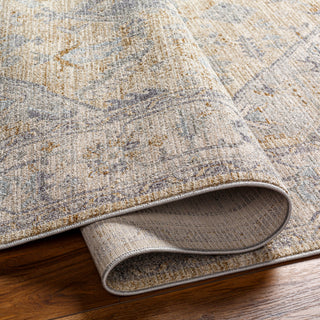 Surya Avant Garde AVT-2357 Taupe Area Rug 