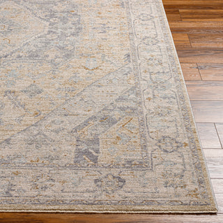 Surya Avant Garde AVT-2357 Taupe Area Rug 