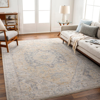 Surya Avant Garde AVT-2357 Taupe Area Rug Room Scene Feature