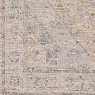 Surya Avant Garde AVT-2357 Taupe Area Rug Swatch