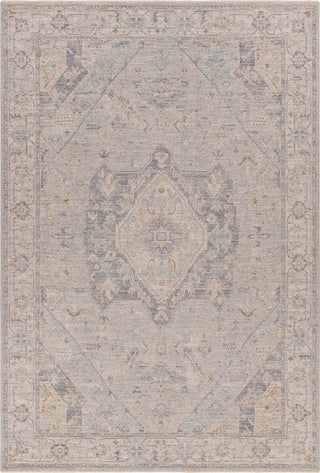 Surya Avant Garde AVT-2359 Taupe Area Rug main image