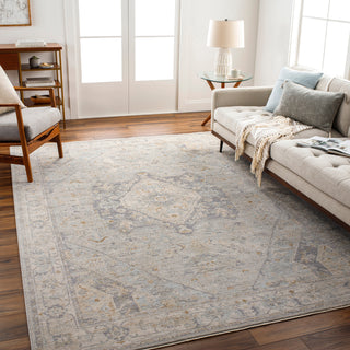 Surya Avant Garde AVT-2359 Taupe Area Rug Room Scene Feature