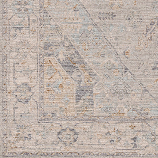 Surya Avant Garde AVT-2359 Taupe Area Rug Swatch