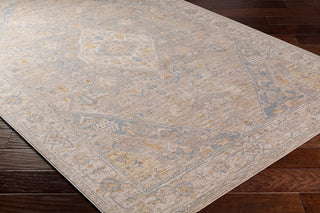 Surya Avant Garde AVT-2360 Taupe Area Rug Corner Shot