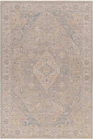 Surya Avant Garde AVT-2360 Taupe Area Rug main image