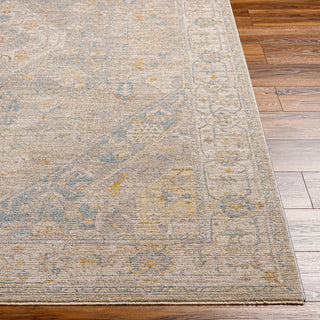 Surya Avant Garde AVT-2360 Taupe Area Rug 