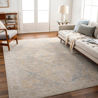 Surya Avant Garde AVT-2360 Taupe Area Rug Room Scene Feature