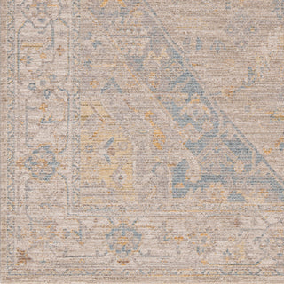 Surya Avant Garde AVT-2360 Taupe Area Rug Swatch