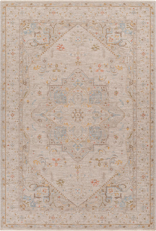 Surya Avant Garde AVT-2362 Taupe Area Rug main image