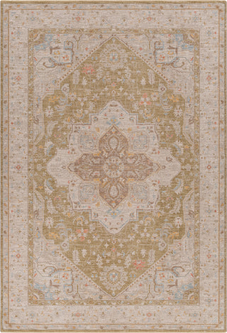 Surya Avant Garde AVT-2363 Taupe Area Rug main image